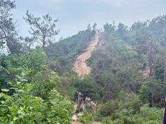 -青龙山国家森林公园