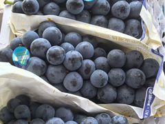 -马陆小张葡萄园农家乐