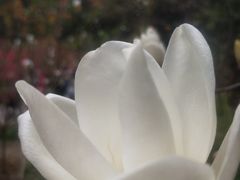 -桃花涧