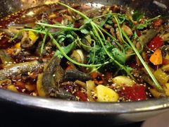 iphone_upload_pic-靓蛙馆