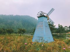 -南沙蒲洲花园