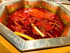 -蜀九香火锅(九眼桥店)