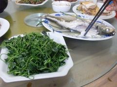 草头+白水鱼-林家饭店(新林公路店)