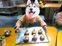 -Harry's Kitchen哈里小屋(上海大悦城店)