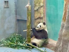 -青藏高原野生动物园