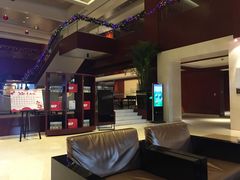 -苏州金鸡湖大酒店