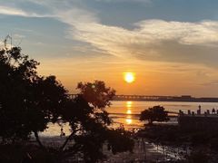 -宝安西湾红树林湿地公园