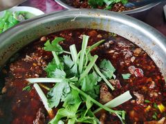 -温江公平红烧兔(总店)
