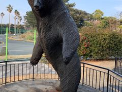 -信不信由你博物馆