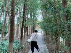 -苏州太湖国家湿地公园