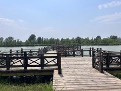 -野鸭湖国家湿地公园