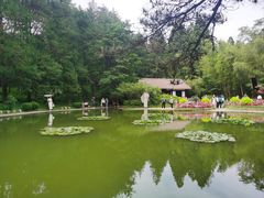 -庐山风景区花径公园