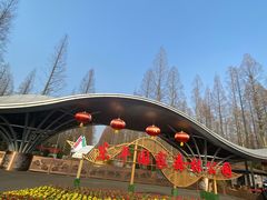 -东平国家森林公园