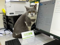 -瑞鹏宠物医院·微创内窥镜·骨外科·牙科(翠竹分院)