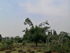 -杭州植物园
