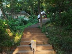 -头陀岭景区