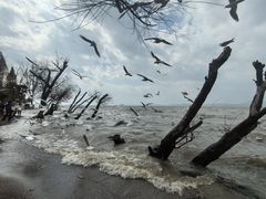 -捞渔河湿地公园