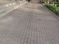 -吴记老店全牛汤