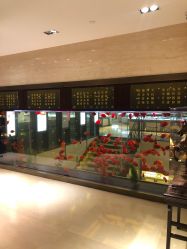 -中国黄金(北京旗舰店)