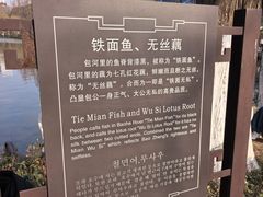 -包公祠