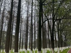 -艾溪湖湿地公园