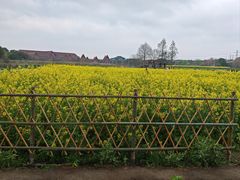 -广富林郊野公园