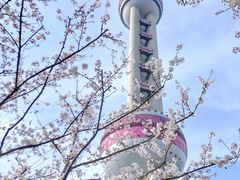 -东方明珠广播电视塔