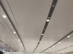 -麦当劳(北京大兴机场二层国内到达(安检外)店)