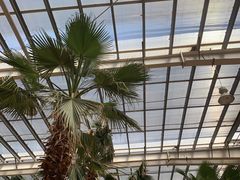 -龙达温泉生态城