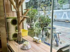 -钦宠·猫咪售卖·洗护·寄养(东圃旗舰店)