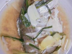 -优护优家Ucare月嫂育儿嫂陪伴师(静安店)