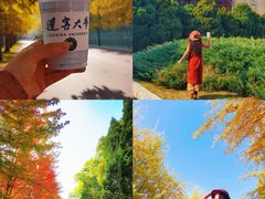 -辽宁大学(崇山校区)