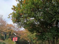 -上海市保健医疗中心