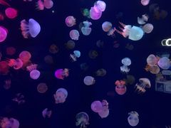 -成都浩海立方海洋公园