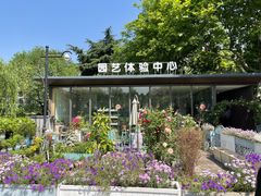 -红梅公园