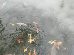 -杭州西湖柳莺里酒店