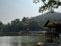 -西双版纳原始森林公园