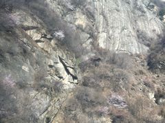 -少华山国家森林公园