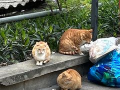 -鸿山公园