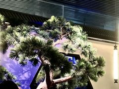 -绿茶餐厅(成都大悦城店)