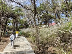 -棋盘山风景区