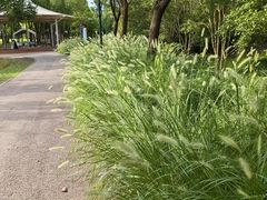 -嘉北郊野公园