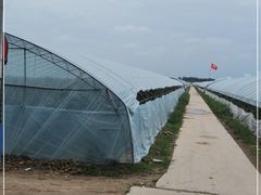 -庞各庄西瓜蔬菜采摘园·锦华瓜园
