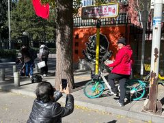 -三里屯东五街银杏大道