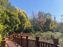 -福州大学(旗山校区)