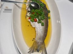 -荣兴酒家(徐家汇店)