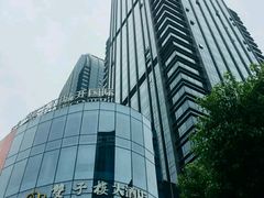 -双子楼大酒店(城开国际写字楼店)