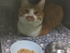 -爱诺耐芙动物医院(万博店)