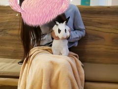 -猫猫幼稚园·撸猫·桌游·电玩