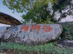 -海南槟榔谷黎苗文化旅游区